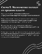 Карточка 5
