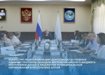 На заседании Комиссии по доходам рассмотрены вопросы взыскания задолженности и цифровизации бюджетного процесса