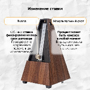 Карточка 5